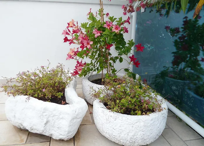 ホテル Firenze 3*